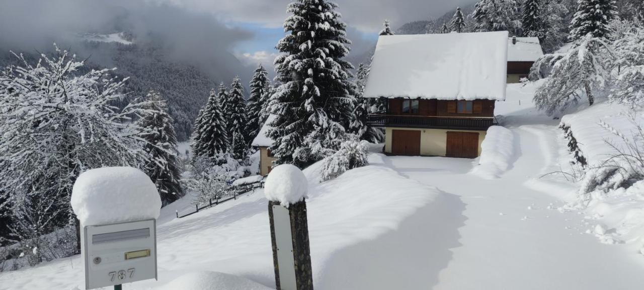 Chalet L'Alpe Saint-Pierre-d'Entremont  Eksteriør bilde